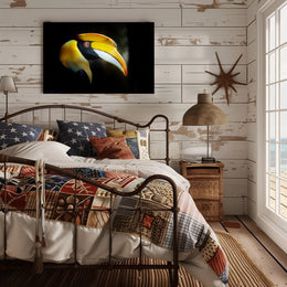 Hornbill in Tropical Habitat Animal Poster PosterGoat