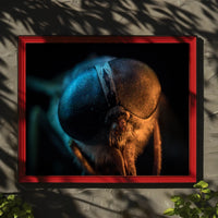 Insect Close-Up Photography Poster: A Study of Nature's Detail PosterGoat