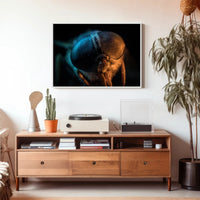Insect Close-Up Photography Poster: A Study of Nature's Detail PosterGoat