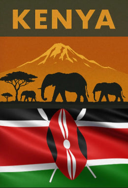 Kenya Wildlife Adventure African Landscape Travel Poster PosterGoat