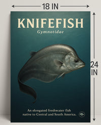 Knifefish Gymnotidae Wall Art Print PosterGoat