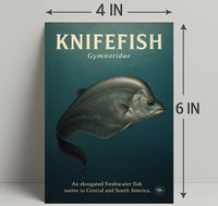 Knifefish Gymnotidae Wall Art Print PosterGoat