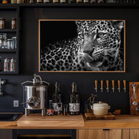 Leopard's Fierce Gaze Wildlife Art Animal Poster PosterGoat