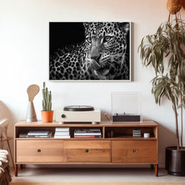 Leopard's Fierce Gaze Wildlife Art Animal Poster PosterGoat