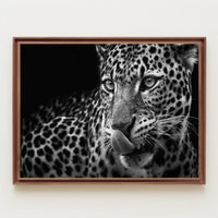 Leopard's Fierce Gaze Wildlife Art Animal Poster PosterGoat