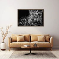 Leopard's Fierce Gaze Wildlife Art Animal Poster PosterGoat