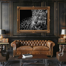 Leopard's Fierce Gaze Wildlife Art Animal Poster PosterGoat