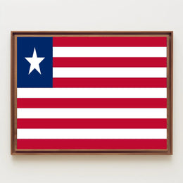 Liberian Flag Patriotic National Pride Country Flag Poster PosterGoat