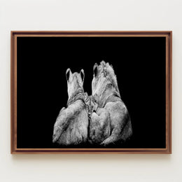 Lions in Monochrome Family Unity Animal Poster PosterGoat