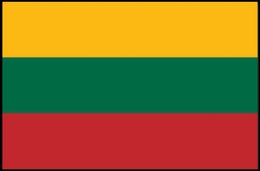 Lithuanian National Flag Bold Design Country Flag Poster PosterGoat