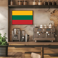 Lithuanian National Flag Bold Design Country Flag Poster PosterGoat