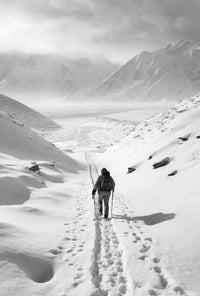 Lone Adventurer Amidst Snowy Peaks Travel Poster PosterGoat