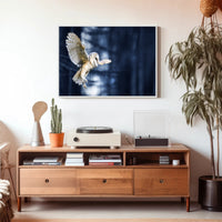 Majestic Barn Owl Flight in Nocturnal Forest Animal Poster PosterGoat