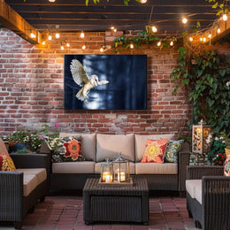 Majestic Barn Owl Flight in Nocturnal Forest Animal Poster PosterGoat