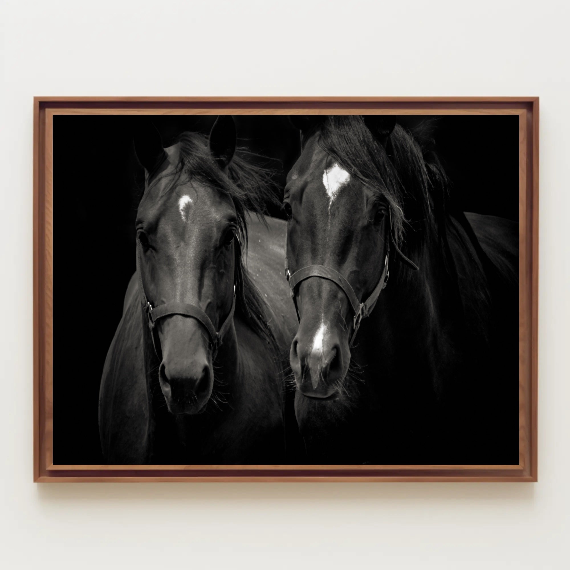 Majestic Black Horses Artwork: Elegant Animal Poster PosterGoat