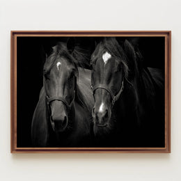 Majestic Black Horses Artwork: Elegant Animal Poster PosterGoat