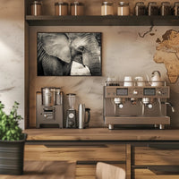 Majestic Black and White Elephant Animal Poster PosterGoat