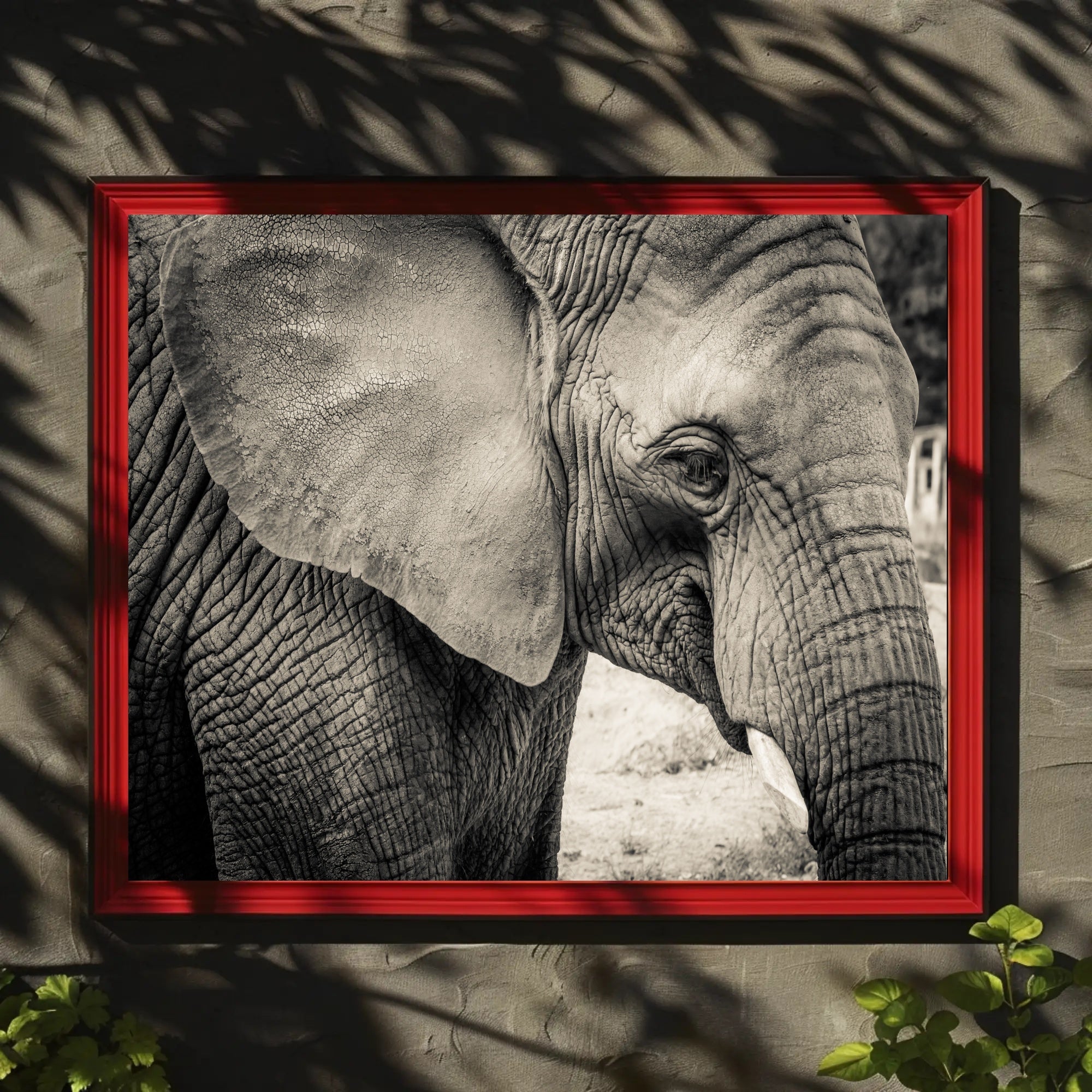 Majestic Black and White Elephant Animal Poster PosterGoat