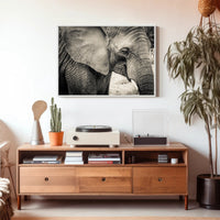 Majestic Black and White Elephant Animal Poster PosterGoat