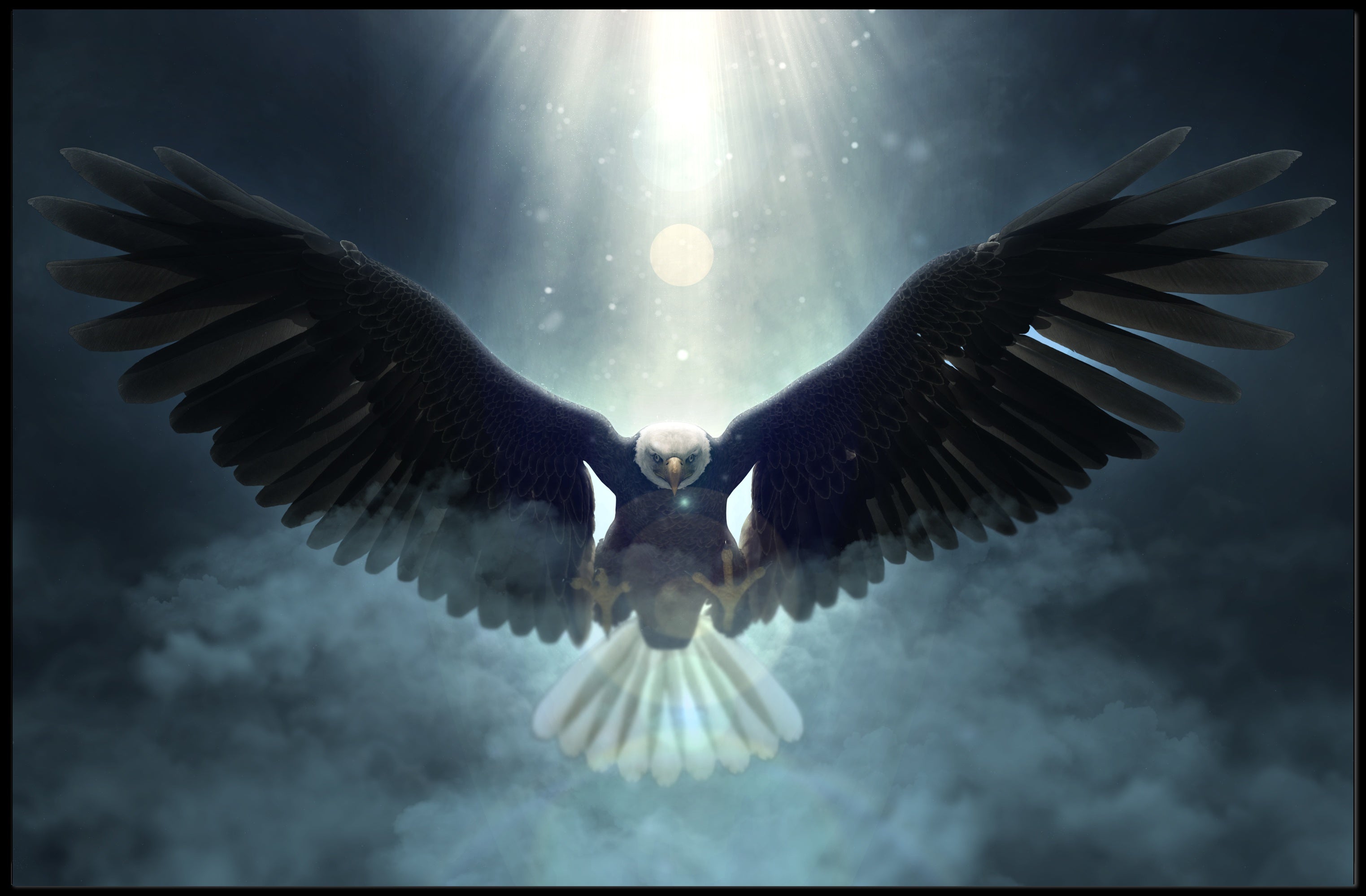 Majestic Eagle in Flight Animal Art Print PosterGoat