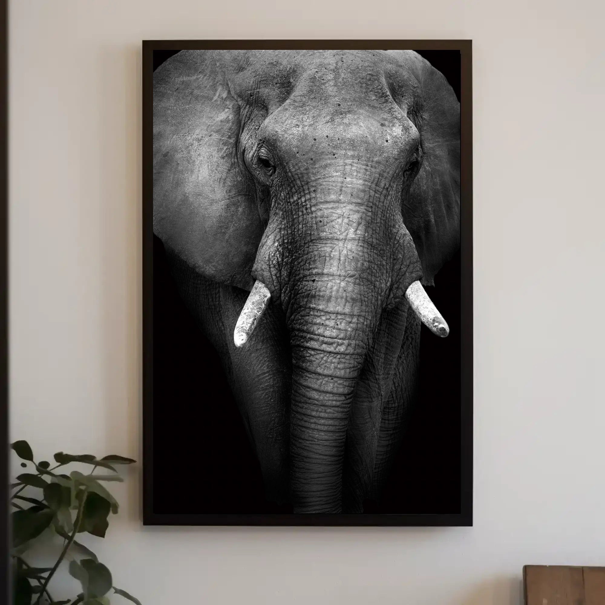 Majestic Elephant Close-up Black-and-White Animal Poster PosterGoat