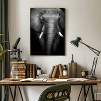 Majestic Elephant Close-up Black-and-White Animal Poster PosterGoat