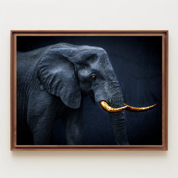 Majestic Elephant Fine Art Animal Poster PosterGoat