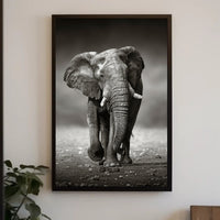 Majestic Elephant Photorealism in Black and White Animal Poster PosterGoat