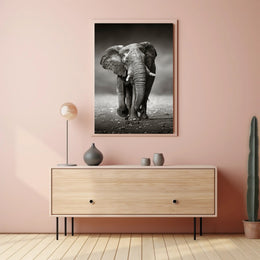 Majestic Elephant Photorealism in Black and White Animal Poster PosterGoat