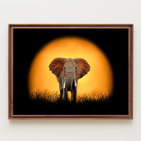 Majestic Elephant Silhouette at Sunset Animal Poster PosterGoat