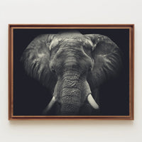 Majestic Elephant in Wild Grace - Animal Poster PosterGoat
