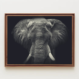 Majestic Elephant in Wild Grace - Animal Poster PosterGoat