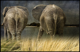 Majestic Elephants in Savannah Landscape Animal Poster PosterGoat