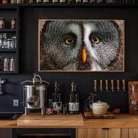 Majestic Great Grey Owl Wildlife Animal Poster PosterGoat