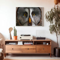 Majestic Great Grey Owl Wildlife Animal Poster PosterGoat