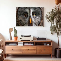 Majestic Great Grey Owl Wildlife Animal Poster PosterGoat