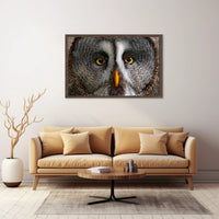 Majestic Great Grey Owl Wildlife Animal Poster PosterGoat