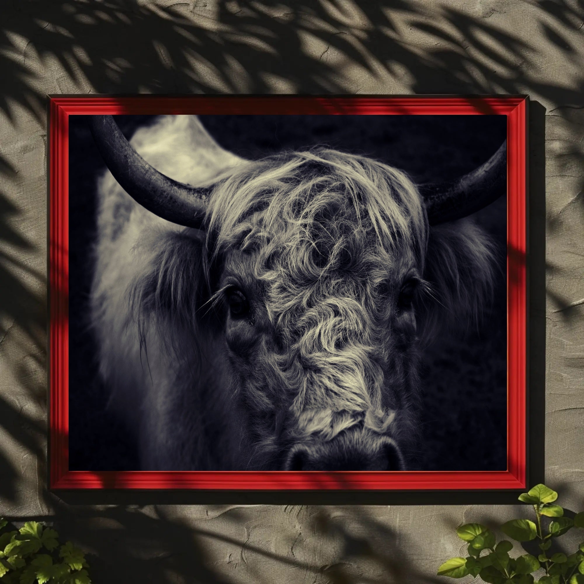 Majestic Highland Cow Portrait Rich in Detail Animal Poster PosterGoat