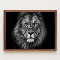 Majestic Lion Gaze Strength and Majesty Animal Poster PosterGoat