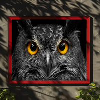 Majestic Nocturnal Owl – Animal Poster PosterGoat
