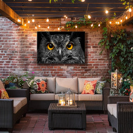 Majestic Nocturnal Owl – Animal Poster PosterGoat