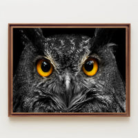 Majestic Nocturnal Owl – Animal Poster PosterGoat