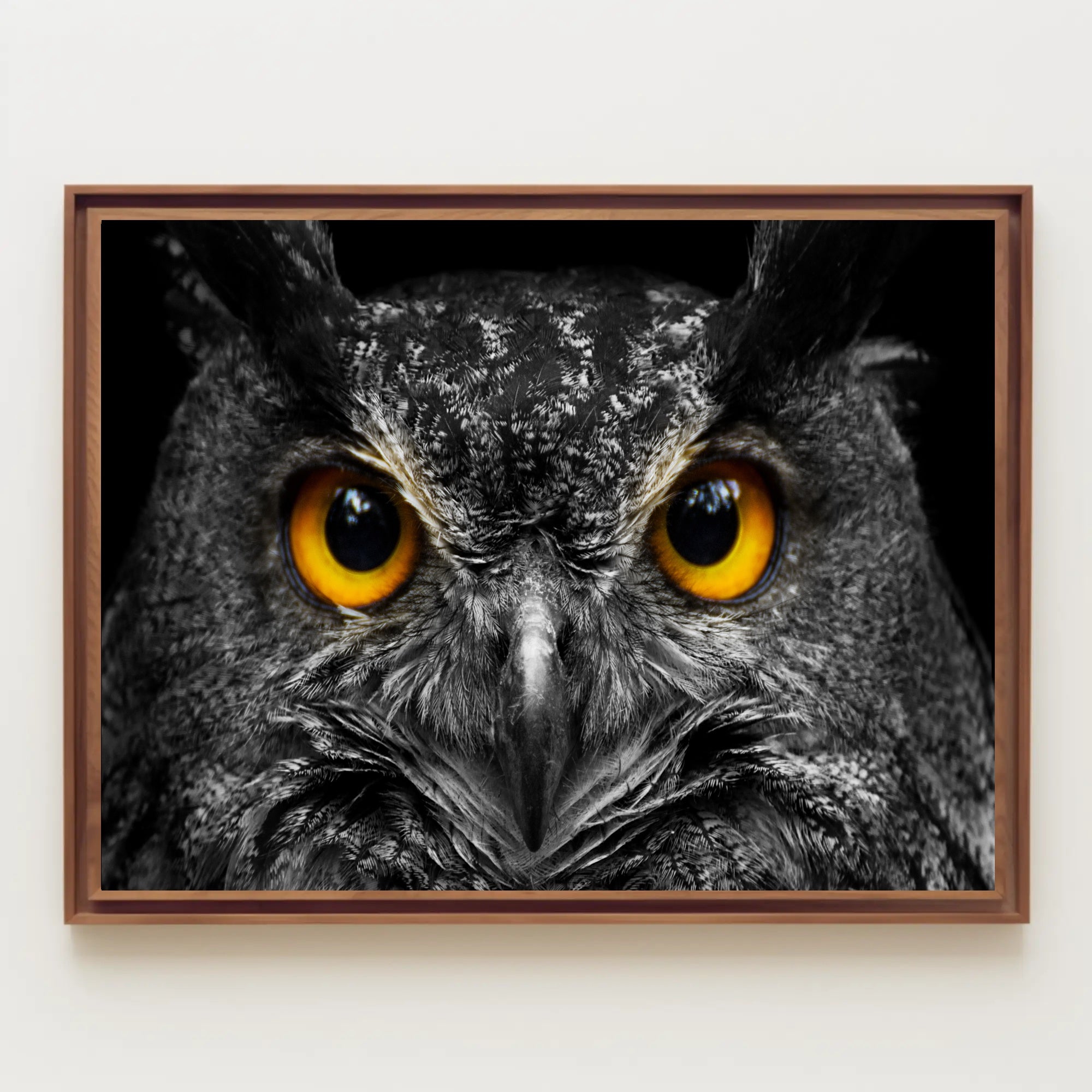 Majestic Nocturnal Owl – Animal Poster PosterGoat