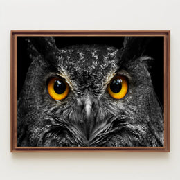 Majestic Nocturnal Owl – Animal Poster PosterGoat