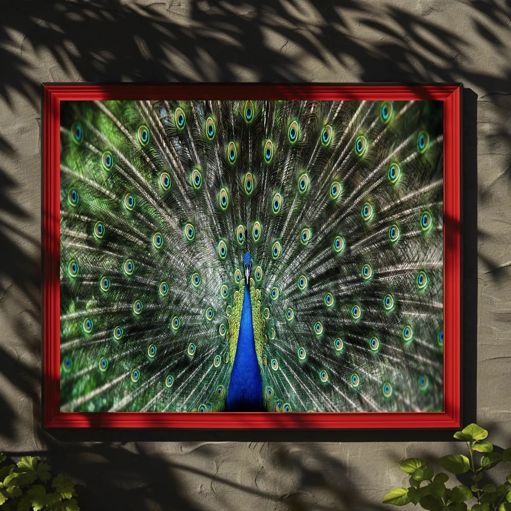 Majestic Peacock Illustrative Masterpiece Animal Poster PosterGoat