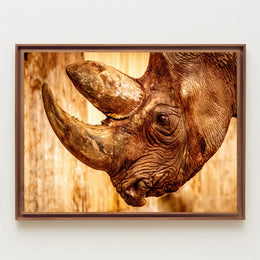 Majestic Rhinoceros Close-up Inspires Wildlife Conservation Animal Poster PosterGoat
