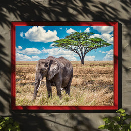 Majestic Savanna Scene with Elephant Animal Poster PosterGoat