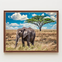 Majestic Savanna Scene with Elephant Animal Poster PosterGoat
