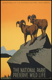 Majestic Wilderness National Park Poster PosterGoat