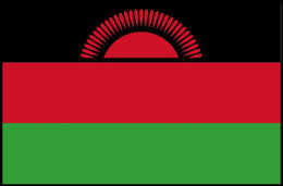 Malawi Flag Art: National Symbolism and Pride Country Flag Poster PosterGoat
